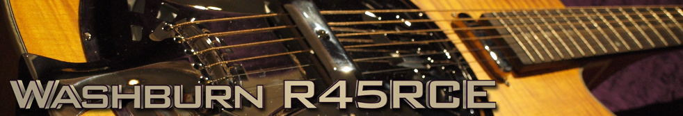 Washburn R45RCE Bluegrass Resonator Topbanner 2