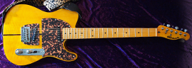 Prince - Mad Cat Guitar Photo 15