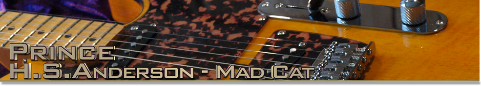 Prince - H S Andeson Mad Cat Top Banner Prince - H S Andeson Mad Cat Top Banner