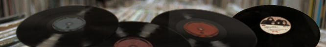 Vinyl Lp Top banner
