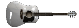 Washburn-D10-Wh-Spinning